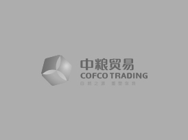 贝斯特--全球最奢华的游戏平台